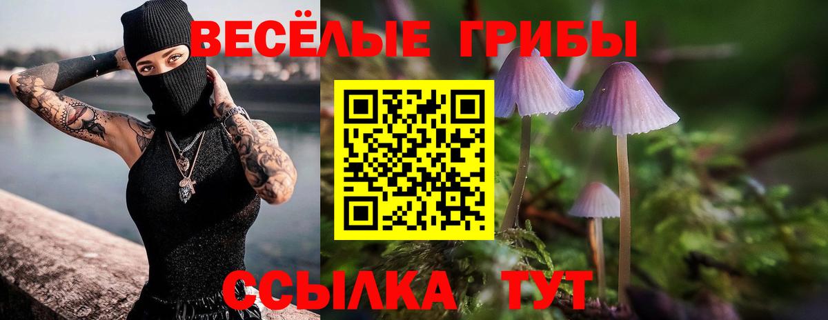Галлюциногенные грибы Psilocybine cubensis  Вход с VPN  Вичуга 